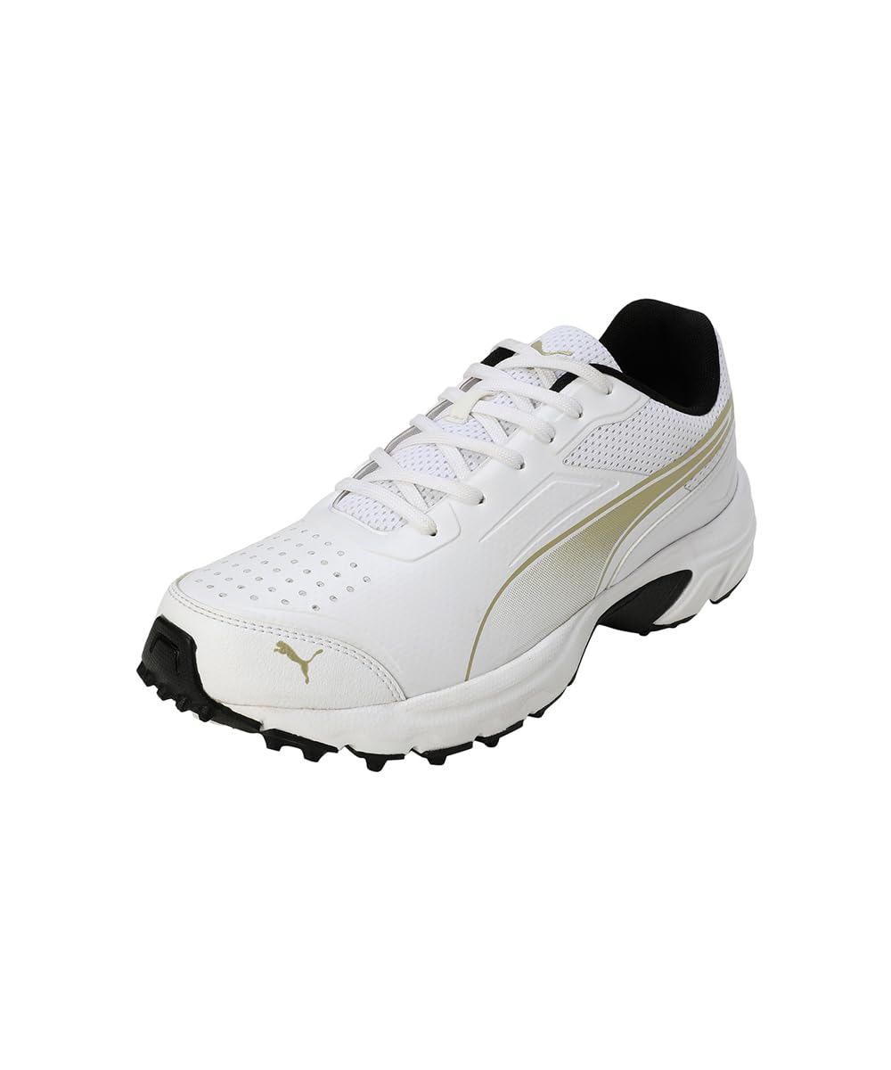 Puma Mens Cricket Power 2.0 Cricket Shoe