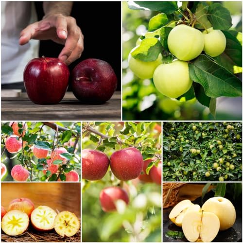 Puoi anche creare il giardino dei tuoi sogni con i nostri semi.