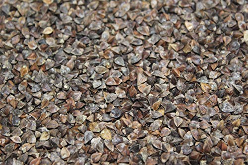 5 Lb. Buckwheat Wildlife Food Plot Seed, Quail, Ducks, Geese, Doves, Turkey, Wildlife