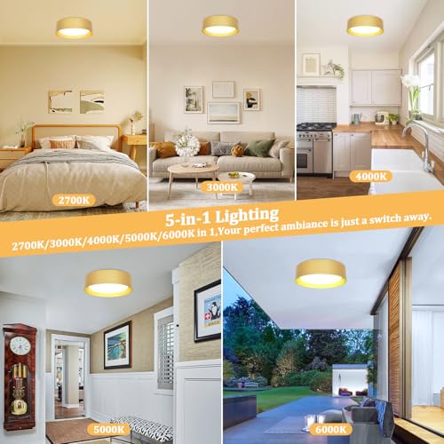 Image of Flush Mount Ceiling Light, 16in Modern Ceiling Light 5 Color Temperature