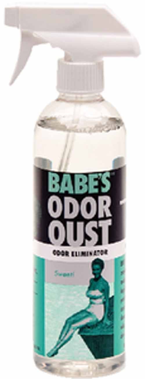 Babe’s Odor Oust – Marine Odor Eliminator Spray for Boats, Carpets &amp; Upholstery – Neutralizes Smells, Repels Dirt &amp; Leaves Fresh Scent - 1 Pint/Spray