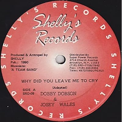 Why Did You Leave Me To Cry-12"