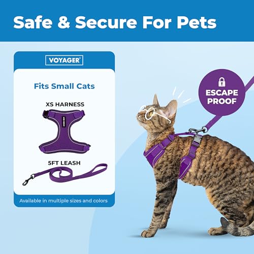 Image of Voyager Escape-Proof Step-in Lock Cat Harness & 5ft Neoprene-Handle Leash Set All-Weather Mesh with Reflective Stitching for Small to Large Cats by Best Pet Supplies, Purple (327), XS