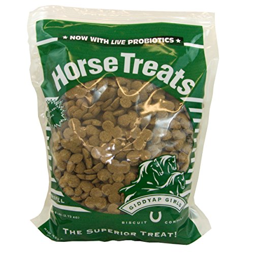 Top 10 Best Horse Treats For Training Reviews & Buying Guide Katynel