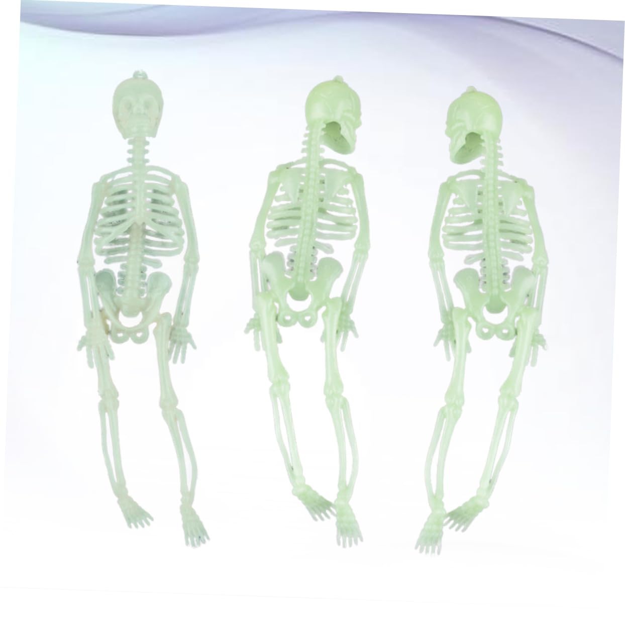 BESPORTBLE Luminous Skeleton Decor 3pcs 20cm Halloween Skull Skeleton Props for Parties Decor