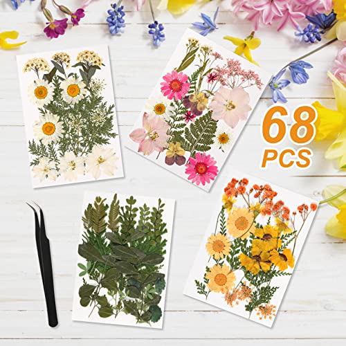 Relaxing Garden Gold Picture Frame Set - /W 68 Pcs Dried Flowers And Tweezer - Double Glass Frame For Pressed Flowers, Pressed Flower Frames For Handicrafts, Photo Or Other Flat Items. #TOP1