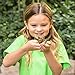 Insect Lore Butterfly Garden | Butterfly Kit with Live Caterpillars | 5 Caterpillars, Reusable Habitat, STEM Butterfly Journal & More