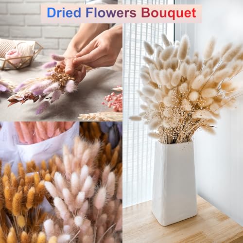 Fleurs séchées queue de lapin rouge QUARKZMAN | Bouquet 17" 60 pcs - 6