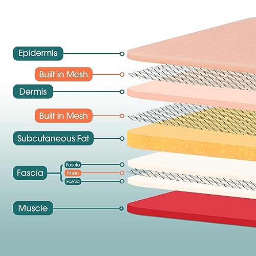 View 2