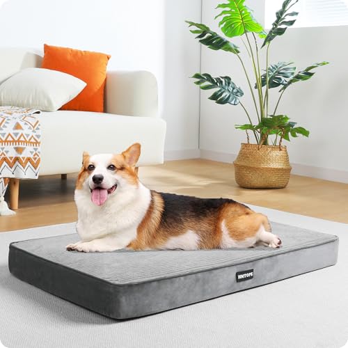 HMTOPE Orthopädisches Hundebett, 9cm Dicke Hundekissen für Mittelgroße Hunde, Abnehmbar und Waschbar Hundematte, rutschfeste Unterseite, Wasserdichtes Innenfutter, 91 cm, Hellgrau