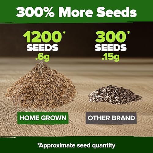 Image of HOME GROWN Dandelion Seeds for Planting - 1200 Heirloom Medicinal Herb Seeds Grow Edible Leaves and Flowers for Remedies or Wildlife (Taraxacum officinale)