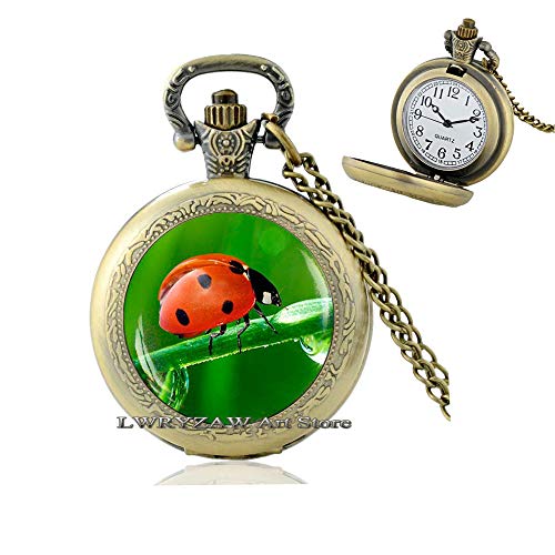Lady Bug Pocket Watch Necklace, Bug Pendant, Insect Jewelry, Lady Bugs Art Gift, Art Insect Pendant, Insect Pocket Watch Necklace,M88