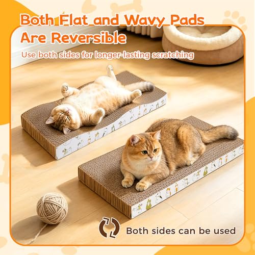 Rascadores de cartón para gatos PatiencET de interior pack de 4 con hierba gatera 6