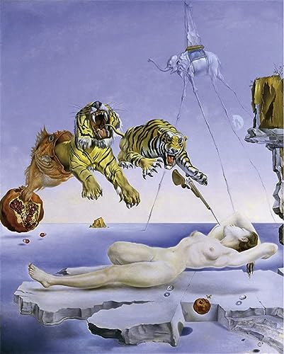 GOLDFI Diamond Painting DIY 5D by Number Kits para adultos niños ...