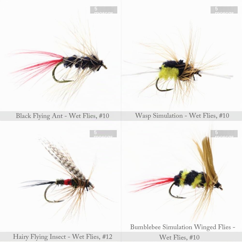 Surtido de cebo hechos a mano para pesca con mosca, moscas artificiales para pesca de trucha y trucha alpina, con caja impermeable, Set B 120 Stück