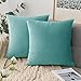 Comvi - Cojines de sofá con fundas incluidas, 4 unidades, 2 fundas de cojín, 45 x 45 cm, cojines de terciopelo para sofá con almohadillas de cojín - Cojines de color verde menta con relleno