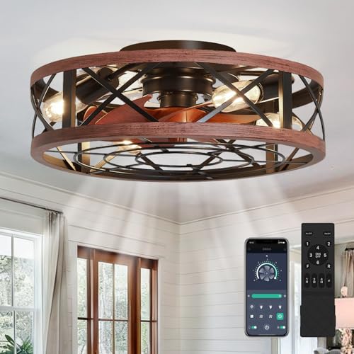 Photo 1 of 19'' Caged Ceiling Fans with Lights and Remote
