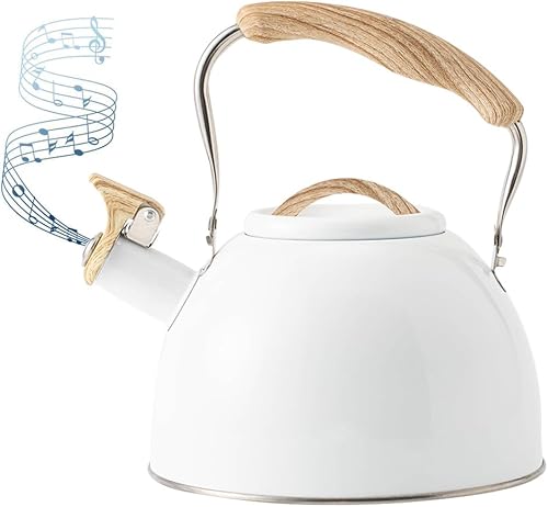 Miniatura 7 de Tetera quirúrgica de acero inoxidable de 3 L con mango ergonómico de tacto fresco, tetera de acero inoxidable con mango frío, también para estufa de