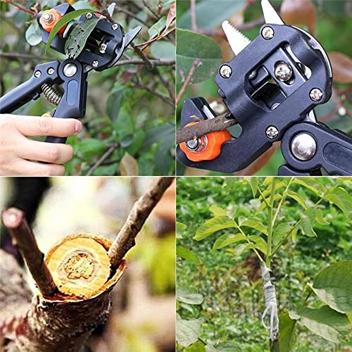 Innesto Potatore Giardino Strumento di Innesto Professionale Ramo Cutter Cesoia Cesoie per Piante di Potatura Scatole di Alberi da Frutto Innesto Scissor