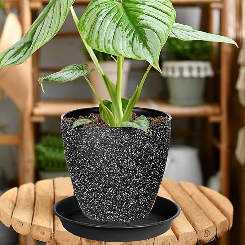 image for OVZILKI 6 Pack of Plant Saucer Tray 4 6 8 10 12 14 17 19 22 25 inch, H