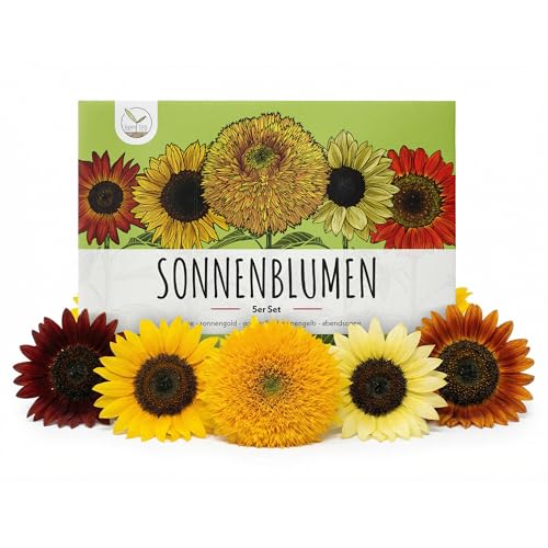 Graines de tournesol colorées à haut taux de germination - graines de fleurs pour un jardin coloré et propice aux abeilles (lot de 5)