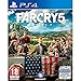 Produktbild Far Cry 5