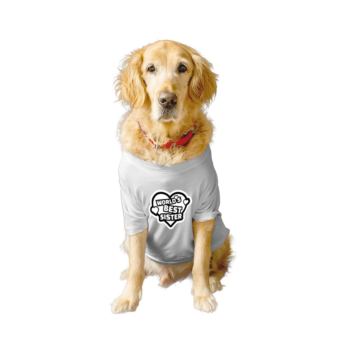 Ruse Basic Crew Neck Worlds Best Sister Printed Half Sleeves/Apparel/Clothes/T-Shirt Gift for Dogs.Colour-White/XXL (Full Grown Saint Bernard, Great Dane etc.) (B0974V559H) Amazon Price History, Amazon Price Tracker