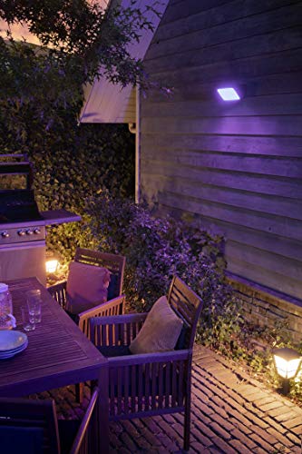 Philips Hue Discover Verstraler - Wit en Gekleurd Licht - Buitenlamp - IP44 - Duurzame LED Verlichting - Dimbaar - Verbind met Hue Bridge - Werkt met Alexa en Google Home - Zwart