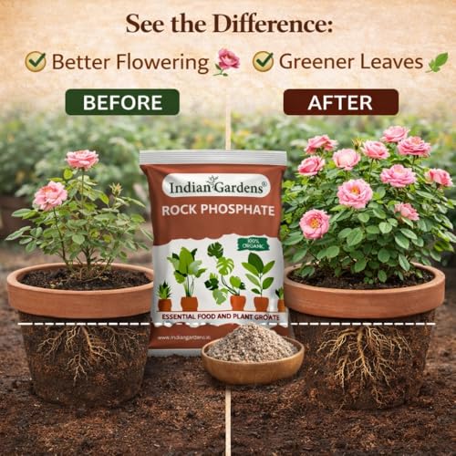 Image of Indian Gardens - Rock Phosphate Fertilizer Organic (900 Grams) | Phosphorus Source for Root Growth & Flowering | Slow Release Soil Conditioner | For Home Garden, Terrace & Agriculture Plants