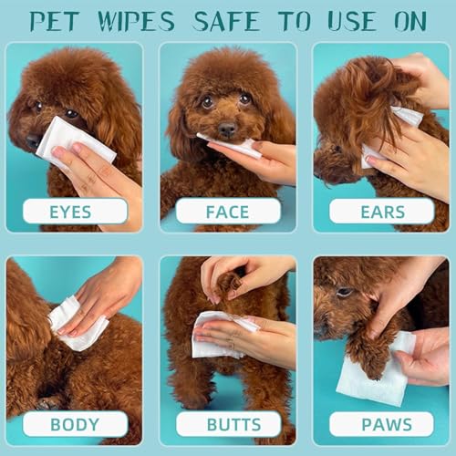 Image of Anti Bacterial Pet Wet Wipes for Dogs & Cats - Alcohol-Free, Fragrance-Free Cleaning & Grooming Wipes, Soft & Safe Daily Care (80 Pcs)