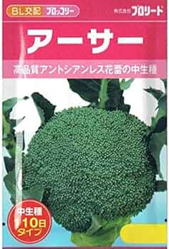 51lnuGabWvL._AC_UF350,