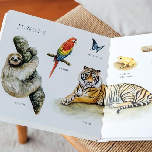 Image of Our Big Book of Animals: First 100 Animal Words for Language Development, including Farm, Jungle, Pets, Bugs, and More (Tabitha Paige Children's Book Series)