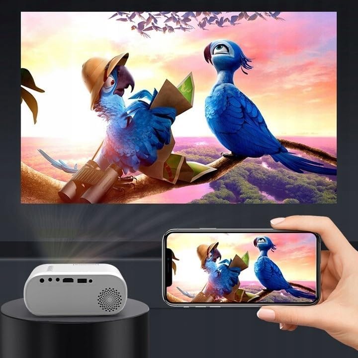 Diagram showing various devices connecting to the projector