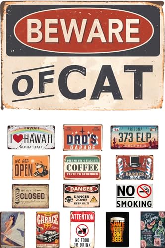 gJ uLŔ S120 AJ G io[ v[g g K[W  oCN AeB[N CeA a Be[W (LP(e1), NO.8)