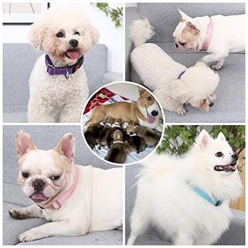 Mumupet Reflective Dog Collar With Safety Locking Buckle, 6 Pieces,Soft Neoprene Padded Breathable Nylon Pet Collars Adjustable For Small Medium Large Dogs, 6 Colors,2 Sizes #TOP4
