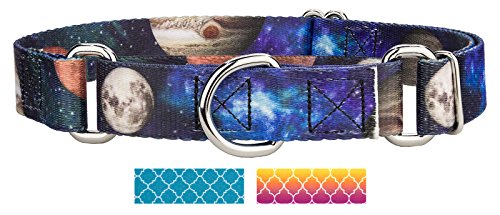 Country Brook Design Galactic Neighbors Martingale Dog Collar - Medium