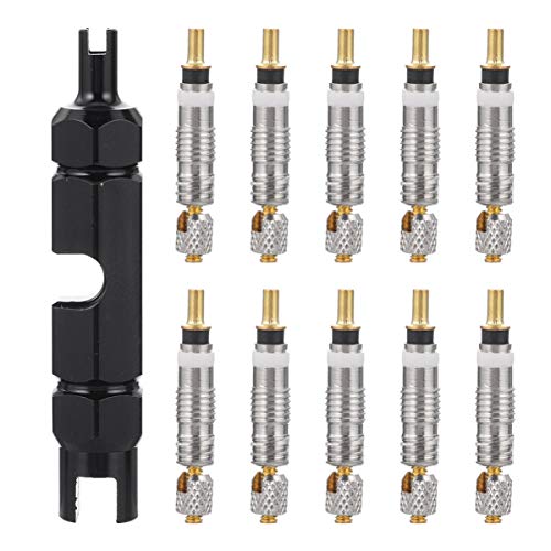 BESPORTBLE Kit de Ferramentas de Remoção de Núcleo de Válvula Conjunto de Núcleo de Válvula de Liga