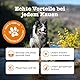 Zesty Paws Juckreizlinderung für Hunde | Empfindliche Haut | Hypoallergene Allergielinderung | Anti-Juckreiz & Allergielinderung | Für Hunde, die kratzen, jucken & lecken | Omega-3-Fettsäuren | 90 Stk