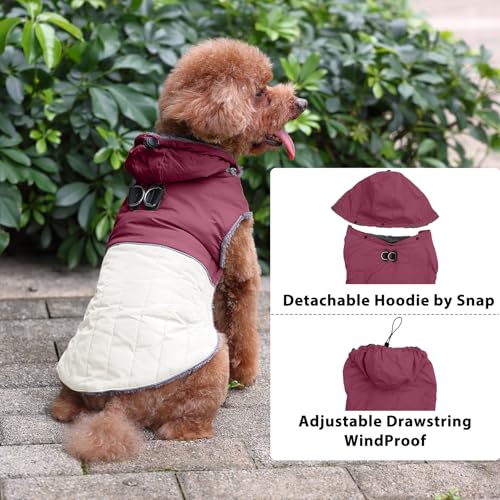 Image of JoyDaog Detachable Hooded Dog Coat with Harness for Small Dogs,Red XS | Warm Fleece Lined Puppy Jacket for Winter Cold Weather,Snowsuit with 2 D-Rings Easy for Daily Walk