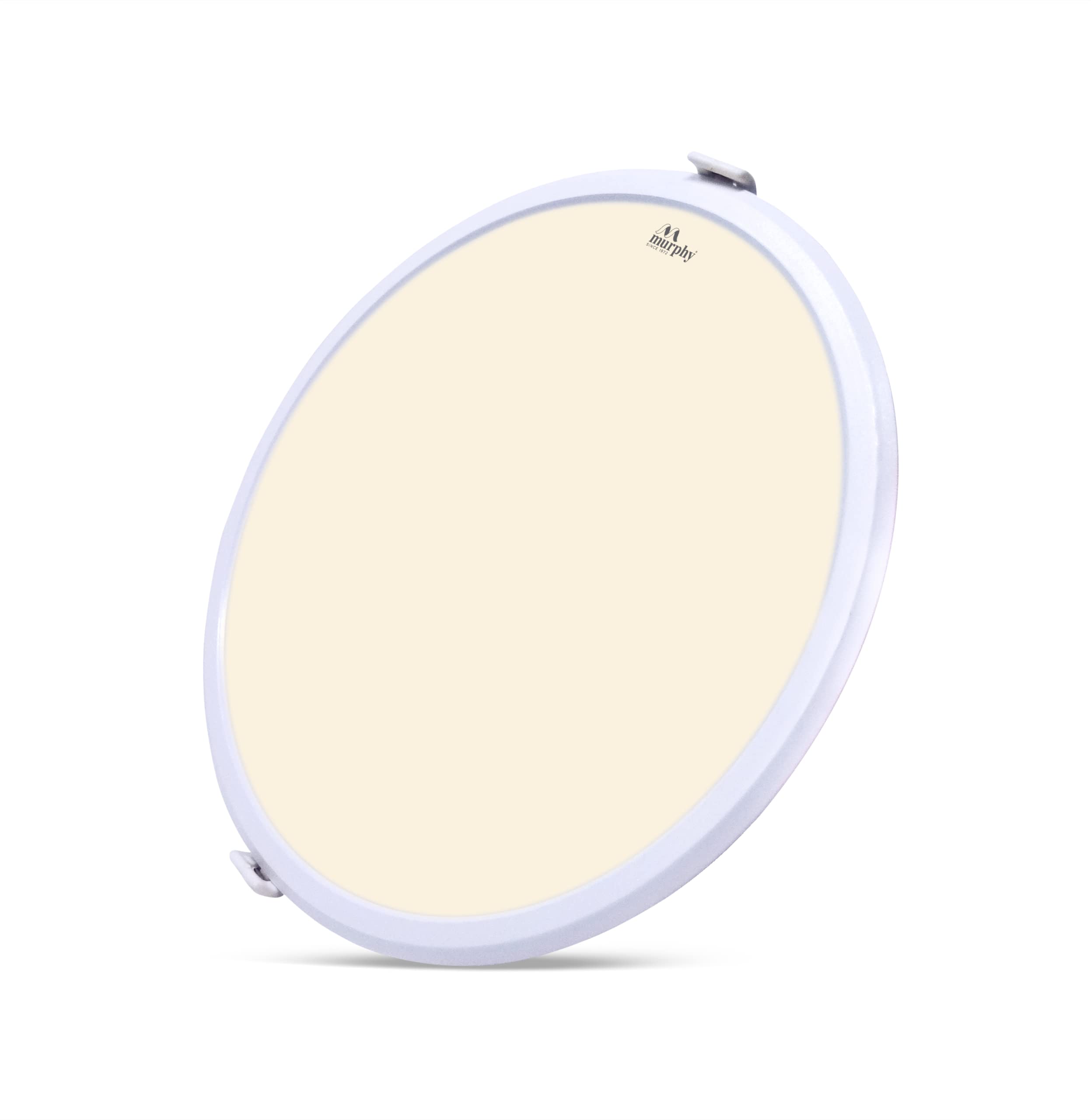 Murphy 5-Watt Trimless Round LED Panel Ceiling Light (Natural White, Pack of 1)