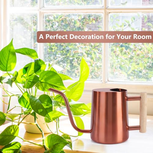 Image of Watering Can Indoor Plants, 35oz Small Stainless Steel Metal Watering Can Modern Decorative Watering Pot with Long Spout for Indoor House Plant Bonsai Garden Flowers (Copper)