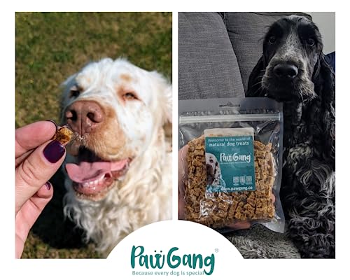 PawGang, Chicken Meaty Cubes 200g, Natural Training Treats for Dogs: Puppies Young Adult Old Small Large Dog - Image 3