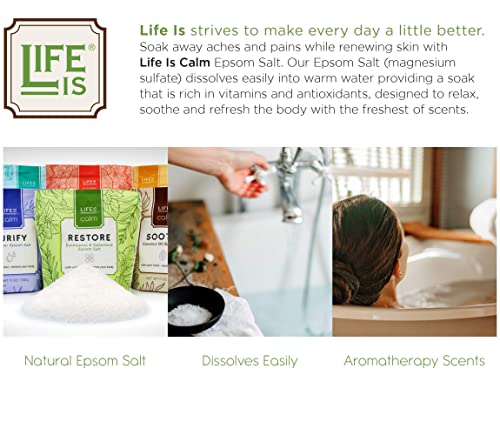 Life Is Calm Epsom Salt Spa 6-Pack L Dissolvable Therapy Formulas For Bath (Restore, Clense, Relax, Balance, Purify & Soothe) #TOP1