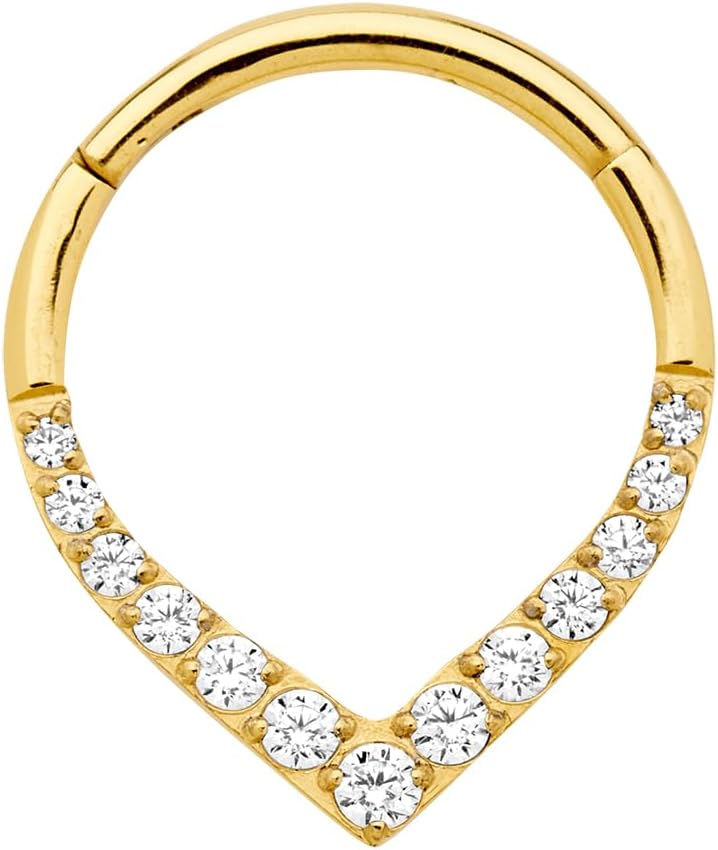 365 Sleepers Titanium Implant Grade 16G Gem Tear Drop Septum Jewelry Hinged Segment Ring Body Piercing Hoop Lip Rings Helix Cartilage Rook Sleeper Earrings 8mm – 10mm