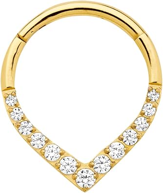365 Sleepers Titanium Implant Grade 16G Gem Tear Drop Septum Jewelry Hinged Segment Ring Body Piercing Hoop Lip Rings Helix Cartilage Rook Sleeper Earrings 8mm 10mm