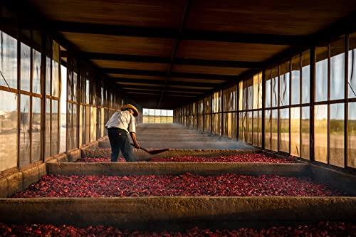 Image of TABASCO Pepper Sauce (Roasted, 5 Ounce)