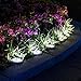 PAMAPIC Solar Ground Lights 8 Pack, 8 LED Solar Powered Disk Lights Outdoor Waterproof Garden Landscape Lighting for Yard Deck Lawn Patio Pathway Walkway (White)