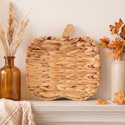 GliCraft 12 Inch Hand Woven Fall Pumpkin Tray Boho...