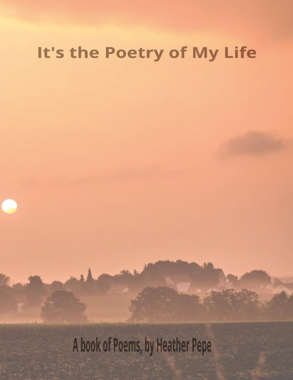 It's the Poetry of My Life: Journey with me through poetry to tell the stories of my life, travels and family
