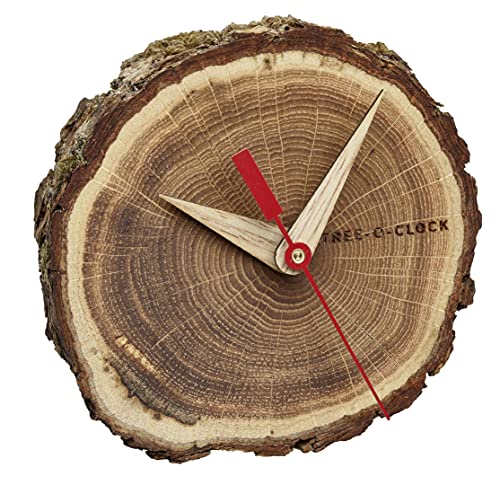 TFA Dostmann Orologio analogico da tavolo in legno di quercia...